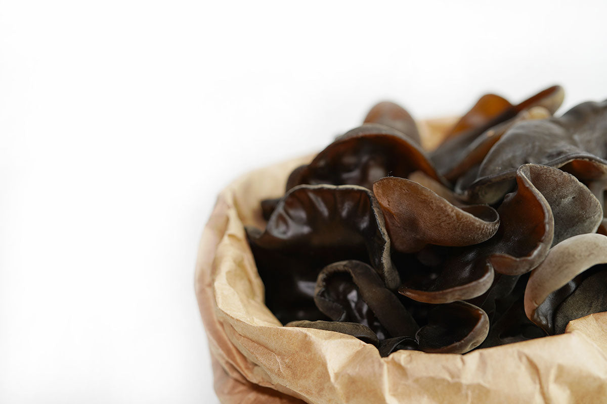 Jelly Ear Fungus