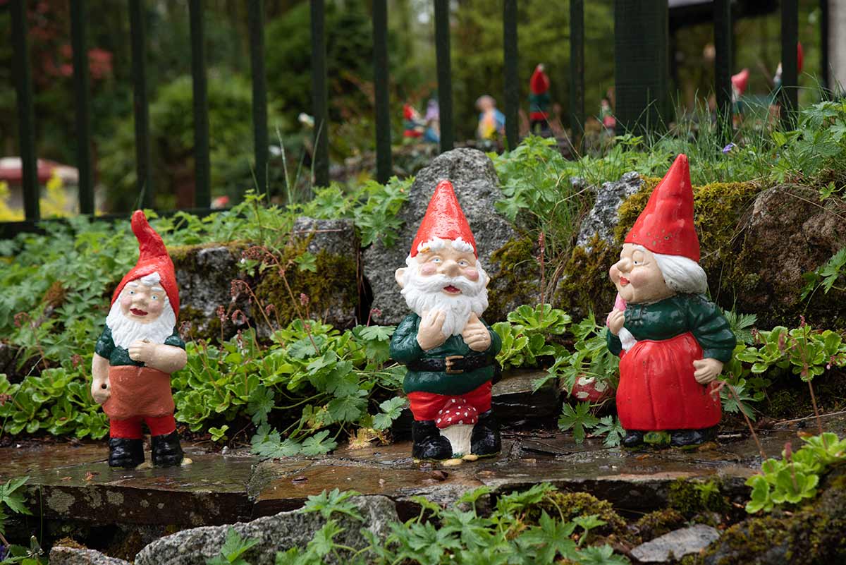 Gnomes