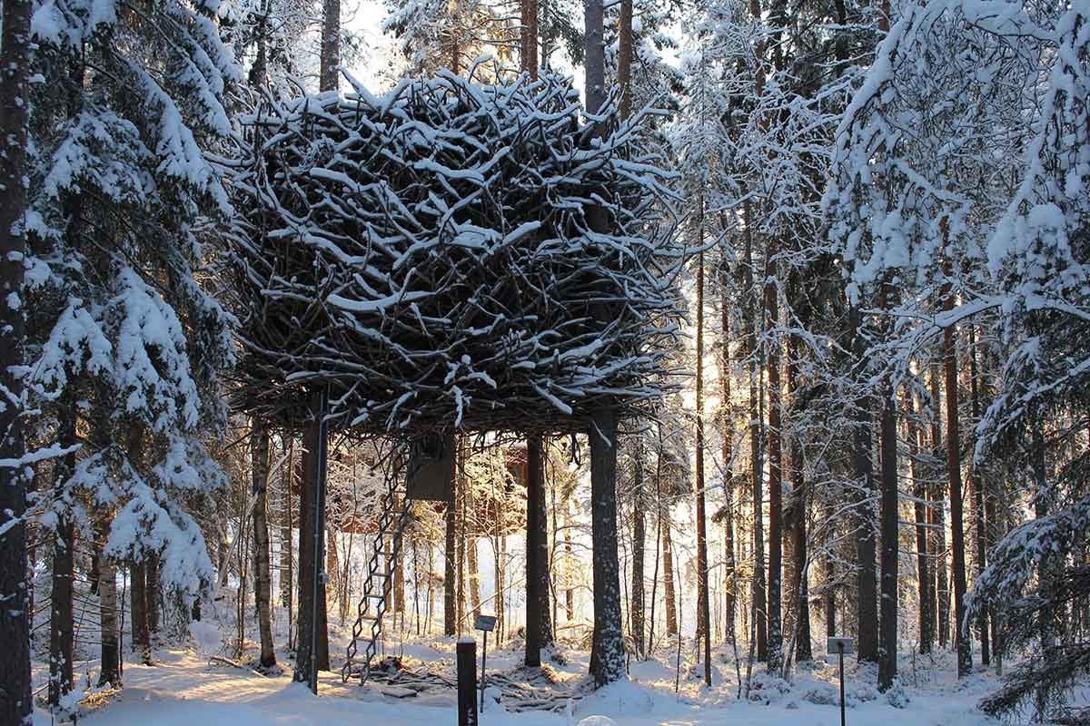 Alt: The Bird’s Nest is a camouflaged sanctuary that works in perfect harmony with the surrounding forest.