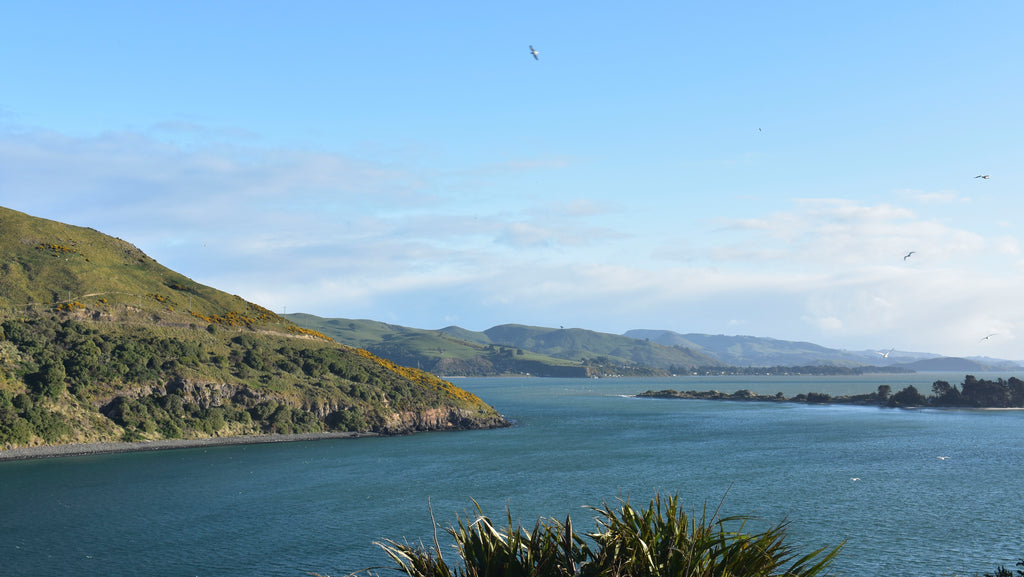 Otago Peninsula