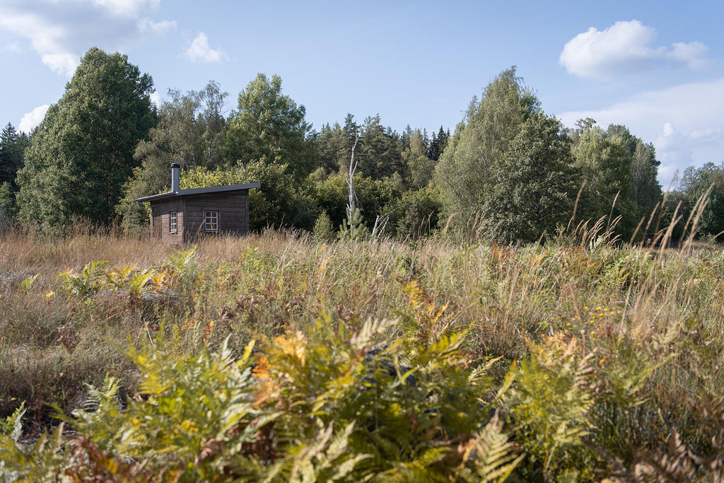 A Swedish wooden cabin in a field