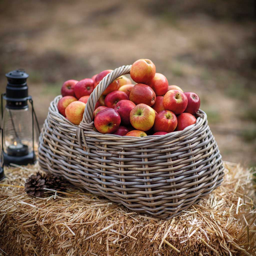 Bembridge Forage Basket