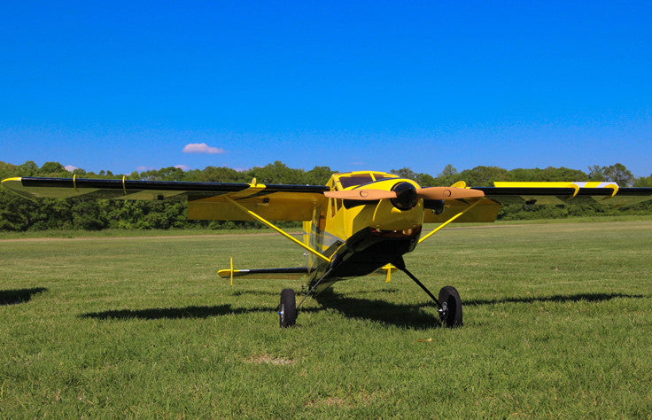 bushmaster rc plane