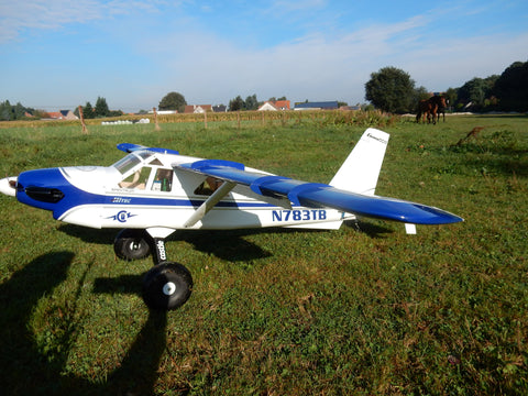 bushmaster rc plane