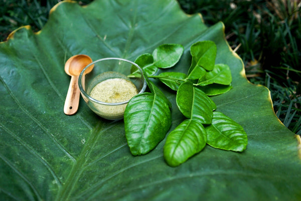 SUDTANA's herbal facial mask with Thai makrut leaves