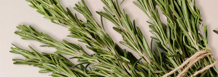 Rosemary