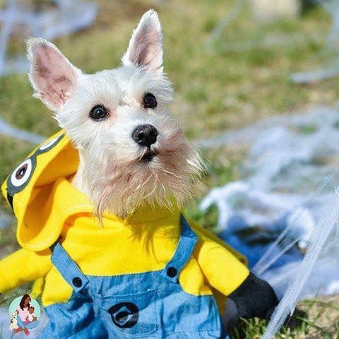 Dog Halloween Costume