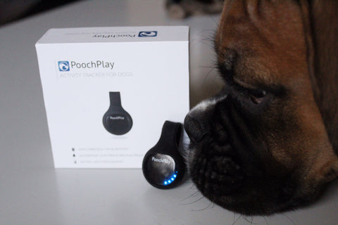 Dog Tech Gift