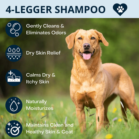 4-Legger Certified Organic Dog Shampoo