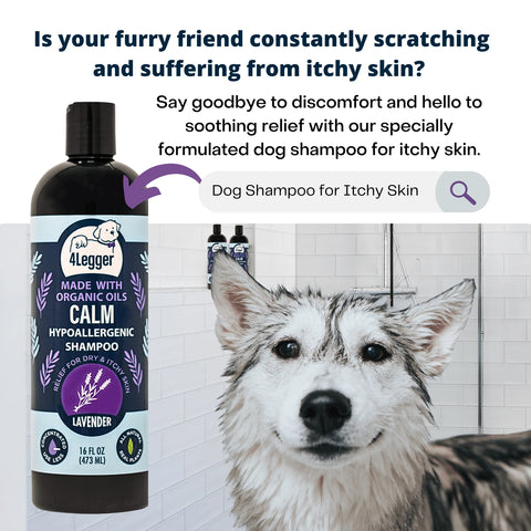 Provide relief of painful inflamed skin and encourage healing with this hypoallergenic and USDA Organic dog shampoo from 4-Legger.