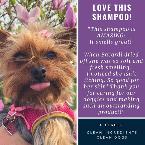 Provide relief of painful inflamed skin and encourage healing with this hypoallergenic and USDA Organic dog shampoo from 4-Legger.