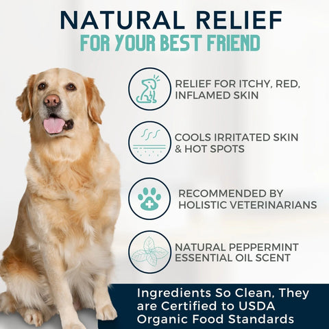 Provide relief of red, itchy, and inflamed skin with this hypoallergenic and USDA Organic dog shampoo from 4-Legger. Recommended by holistic veterinarians as a natural alternative to medicated anti-fungal shampoo.