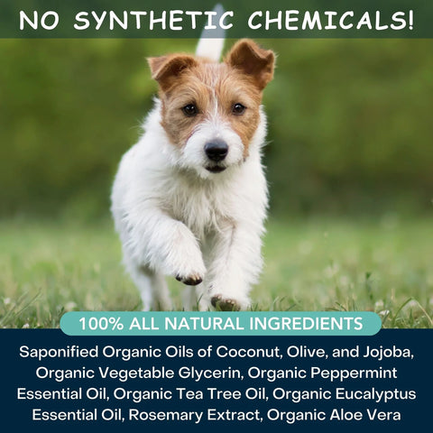 Provide relief of red, itchy, and inflamed skin with this hypoallergenic and USDA Organic dog shampoo from 4-Legger. Recommended by holistic veterinarians as a natural alternative to medicated anti-fungal shampoo.