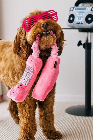 P.L.A.Y. plush dog toys are certified non-toxic, made with durable double-layered fabrics that feature reinforced stitching for extra durability, and are filled with PlanetFill® filler made from 100% post-consumer certified-safe recycled plastic bottles.