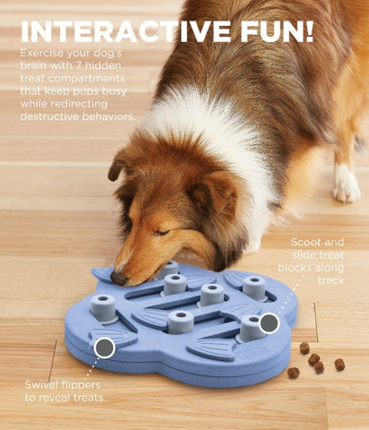 Nina Ottosson DogWorker, level 3 puzzle. Spin, scoot and treat! 