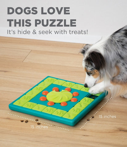 The MultiPuzzle dog puzzle is ideal for dogs who have mastered levels 1-3 of the Nina Ottosson puzzle line. Puzzle features a treat tray and 8 treat compartments with sliding blocks, covers, and locking inner wheel. Your dog will enjoy pawing, sniffing, and nudging the blocks around to reveal the hidden treats.