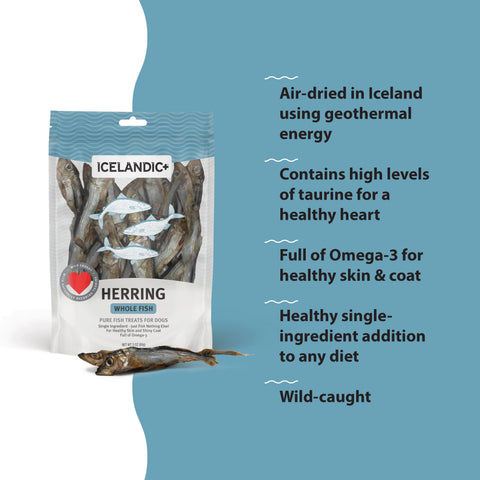 Icelandic+ Herring Whole Fish treats are sustainably wild-caught, 100% natural, and free of additives or preservatives.