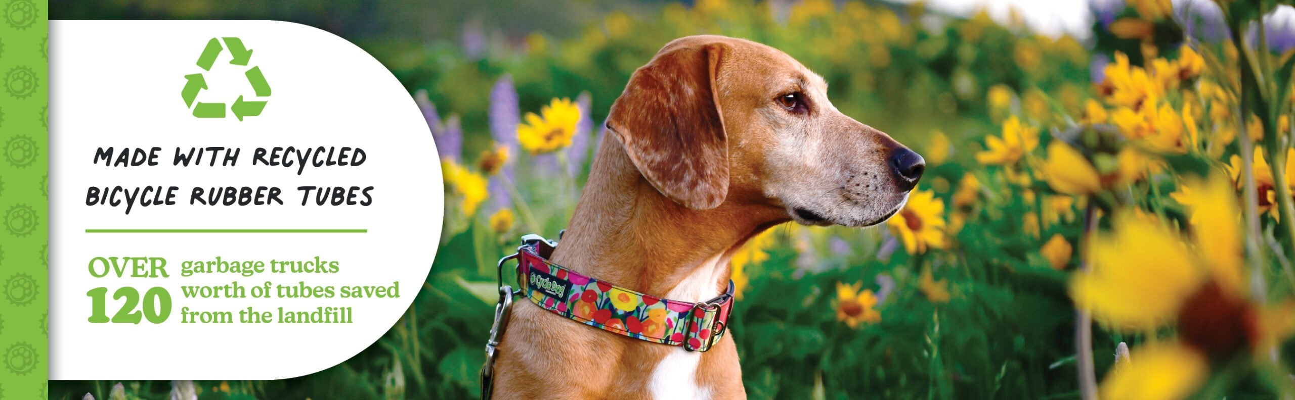 The Waterproof No-Stink Collars from Cycle Dog are stylish, functional, durable, easy to clean, perfect for everyday wear, eco-friendly, and Made in the USA. Collars feature a separate loop for I.D. tags/lights, bottle opener/leash loop, and a latch-lock metal buckle that is 4 times stronger than plastic.