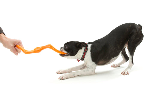 Fetch, tug, run, and repeat. This toy was designed for active play. Bumi is an S-shaped toy that flexes to twice its length during a game of tug-o-war. The smart design and light weight allow it to fly far, making it great for fetch or flinging.