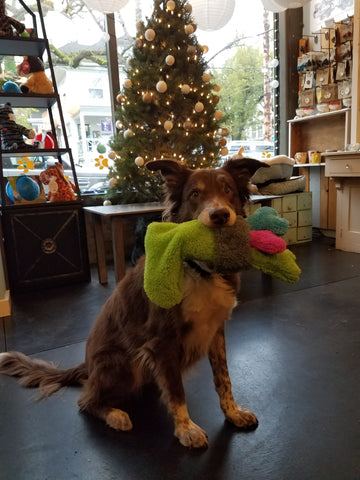 Four gifts in one neat little package. Your dog will receive the Duraplush Christmas Stocking and 3 medium size Duraplush Bones. This durable and soft dog toy is eco-friendly and made in the USA. It features a Duraplush 2-ply bonded outer material, Stitchguard internal seams, and eco-fill recycled filling.