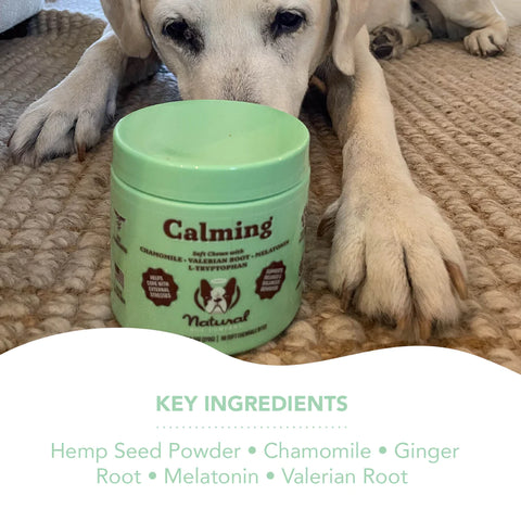 Take the edge off your anxious, hyper, or fearful dog with this powerful formula of relaxing natural ingredients. Use daily to calm general anxiety, hyperactivity, or just before stressful situations like vet visits, storms, fireworks, or anything else that makes your pup antsy.