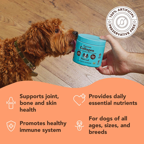 Ensure your dog stays active and flexible with Collagen chews packed with natural ingredients designed to support their overall health and vitality. These daily chews offer a range of benefits, from strengthening tendons and supporting muscle recovery to reducing joint stiffness and discomfort after exercise.