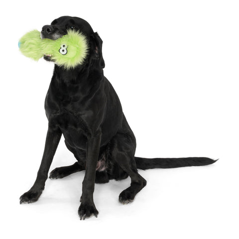 Rowdies are the best of plush and chew toys all rolled into one fun toy your dog will love. West Paw combined the sturdiest technologies to make an extremely durable plush dog toy. Rowdies contain a squeaker to prompt play, and chew bones for dogs who like to gnaw.