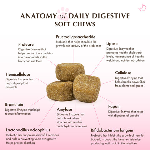 Wholistic Daily Digestive Soft Chews contain a concentrated and potent blend of digestive enzymes, prebiotics, and probiotics that support a healthy balance of normal gut flora.