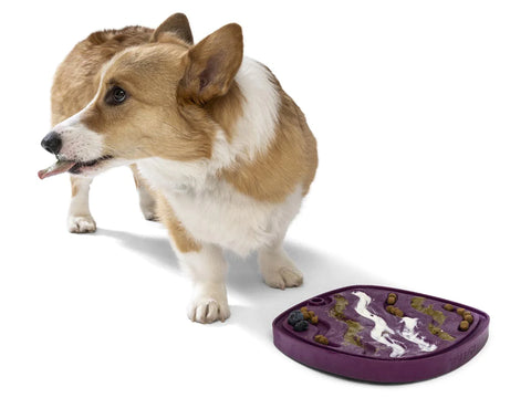 Encourage your dog to feast the way nature intended with the all-in-one innovative enrichment mat that brings a slow feeder and lick mat together to provide an engaging variety between feeding and treating.