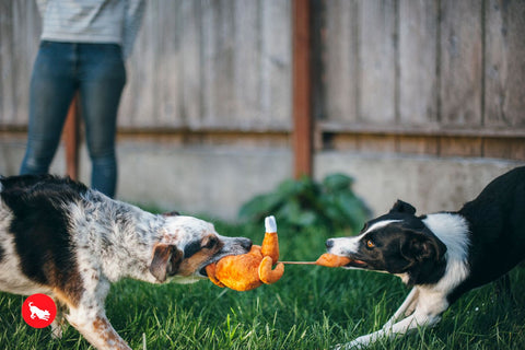 P.L.A.Y. plush dog toys are certified non-toxic, made with durable double-layered fabrics that feature reinforced stitching for extra durability, and are filled with PlanetFill® filler made from 100% post-consumer certified-safe recycled plastic bottles.