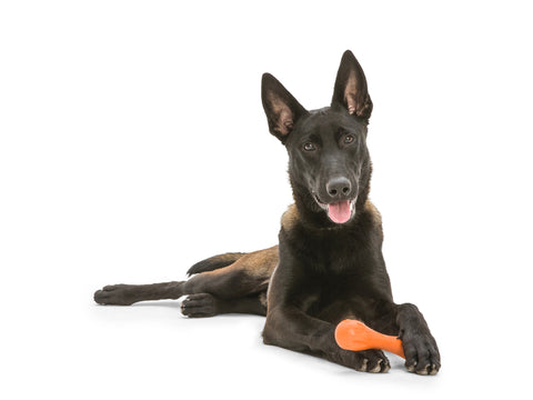 Hurley is extremely durable and made for dogs of all sizes. It is best suited for those that like to chew or play fetch (especially in water). The classic bone shape make Hurley easy for dogs to carry around, and the bright colors make it easy to spot both indoors and outdoors.