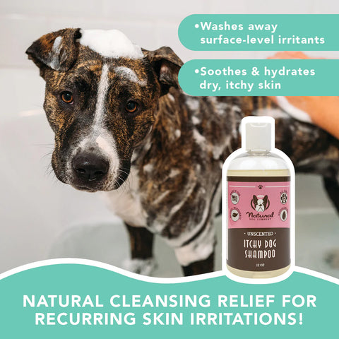 The hypoallergenic formula of the Itchy Dog Shampoo is perfect for washing away surface-level irritants while providing soothing relief to your dog's itchy skin. Made with 100% natural, pet-safe ingredients that work together to give your dog a clean coat and healthy, healed skin.