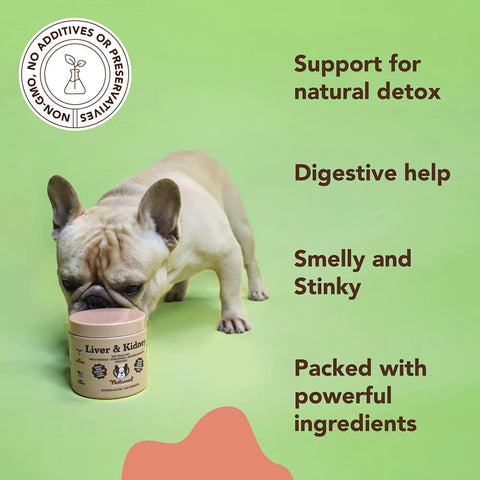 The liver and kidneys are vital organs that play a crucial role in filtering toxins and maintaining your dog's overall vitality and longevity. These daily supplement chews are designed to promote the function of these organs.