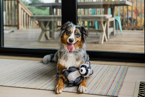 P.L.A.Y. plush dog toys are certified non-toxic, made with durable double-layered fabrics that feature reinforced stitching for extra durability, and are filled with PlanetFill® filler made from 100% post-consumer certified-safe recycled plastic bottles.