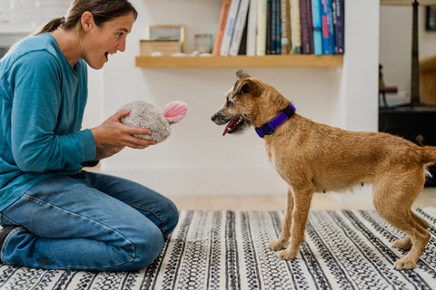 P.L.A.Y. plush dog toys are certified non-toxic, made with durable double-layered fabrics that feature reinforced stitching for extra durability, and are filled with PlanetFill® filler made from 100% post-consumer certified-safe recycled plastic bottles.