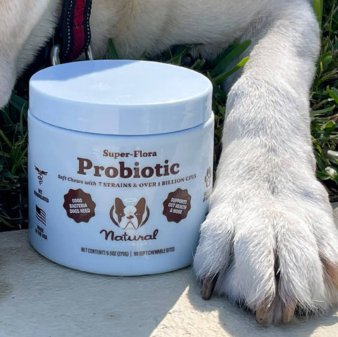 The Super-Flora Probiotic supplement chew provides the perfect balance of good bacteria to maintain a healthy microbiome, support the immune system, and promote the absorption of nutrients necessary for healthy functioning.