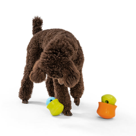 Toppl is an award-winning puzzle toy that can be stuffed full of your dog's favorite snacks. This interactive treat toy is topsy, turvy, and wobbly fun that keeps an active dog busy and brings out the playful side of an older dog.