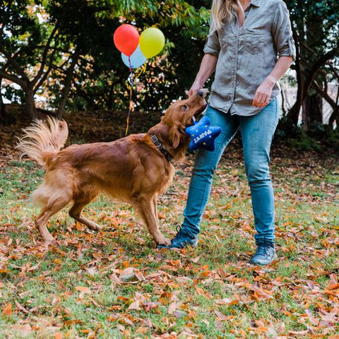 P.L.A.Y. plush dog toys are certified non-toxic, made with durable double-layered fabrics that feature reinforced stitching for extra durability, and are filled with PlanetFill® filler made from 100% post-consumer certified-safe recycled plastic bottles.