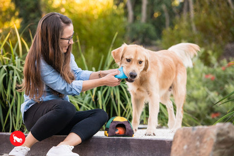 P.L.A.Y. plush dog toys are certified non-toxic, made with durable double-layered fabrics that feature reinforced stitching for extra durability, and are filled with PlanetFill® filler made from 100% post-consumer certified-safe recycled plastic bottles.