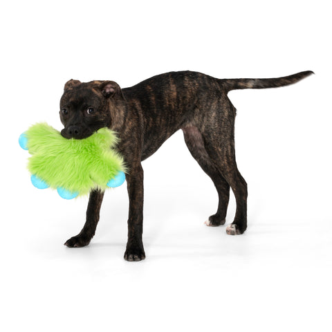 Rowdies are the best of plush and chew toys all rolled into one fun toy your dog will love. West Paw combined the sturdiest technologies to make an extremely durable plush dog toy. Rowdies contain a squeaker to prompt play, and chew bones for dogs who like to gnaw.