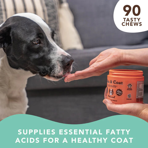 Optimize your dog's health from the inside out with this nutrient dense daily supplement. Treat or prevent common canine skin allergies, irritations, and problems with this blend of essential nutrients working to promote healthy skin.