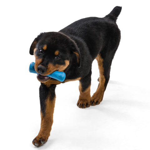 Drifty is a durable stick/bone shaped toy that is best suited for dogs who like to chew or play fetch. The bulbous ends provide the perfect chunky chew zone and the shape makes it easy for dogs to carry around. Toy floats in water and has an ocean-inspired texture.