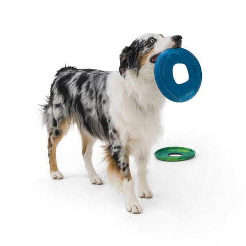 Sailz is a durable and lightweight frisbee that flies far and fast. The center grip hole makes it easy for dogs to pick up and carry around. Toy is made of pliable material that is gentle on dog teeth and gums. Designed for interactive play, and perfect for dogs who love to run. Toy floats in water and has an ocean-inspired texture.