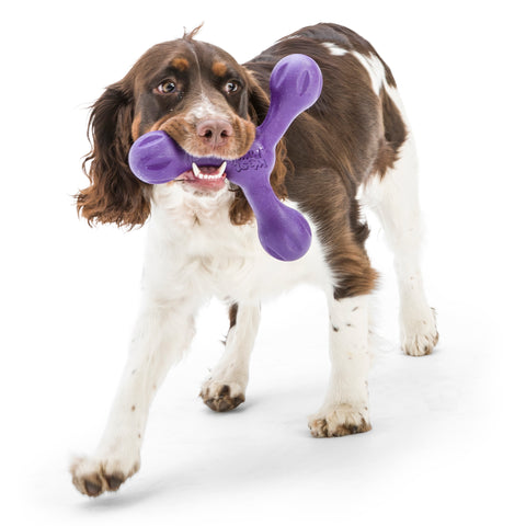 Skamp is a three-lobe shaped toy that is ready for toss, fetch, or tug-o-war. Toy floats and can fly far when tossed. Dogs love its bounce back resistance. Built for moderate chewers and made from Zogoflex, a bendy, stretchy, and bouncy material that is durable but not rigid. Toys are gentle on your dog's teeth.