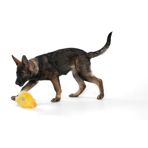 Rowdies are the best of plush and chew toys all rolled into one fun toy your dog will love. West Paw combined the sturdiest technologies to make an extremely durable plush dog toy. Rowdies contain a squeaker to prompt play, and chew bones for dogs who like to gnaw.