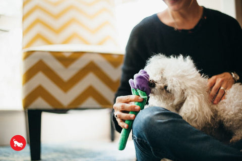 P.L.A.Y. plush dog toys are certified non-toxic, made with durable double-layered fabrics that feature reinforced stitching for extra durability, and are filled with PlanetFill® filler made from 100% post-consumer certified-safe recycled plastic bottles.