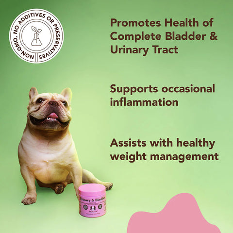 Vet-formulated blend of powerful ingredients that target the bladder and urinary tract and has significant benefits for the immune system and kidney health. Urinary & Bladder supplement is loaded with natural ingredients that work together to promote normal bladder and urinary tract function.