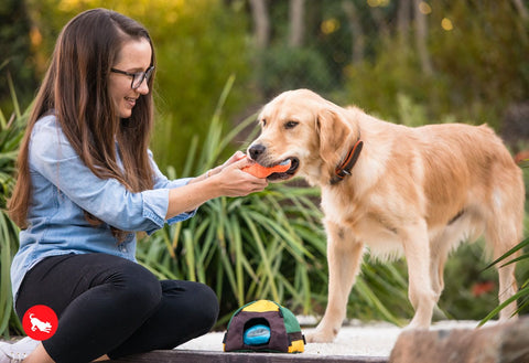 P.L.A.Y. plush dog toys are certified non-toxic, made with durable double-layered fabrics that feature reinforced stitching for extra durability, and are filled with PlanetFill® filler made from 100% post-consumer certified-safe recycled plastic bottles.