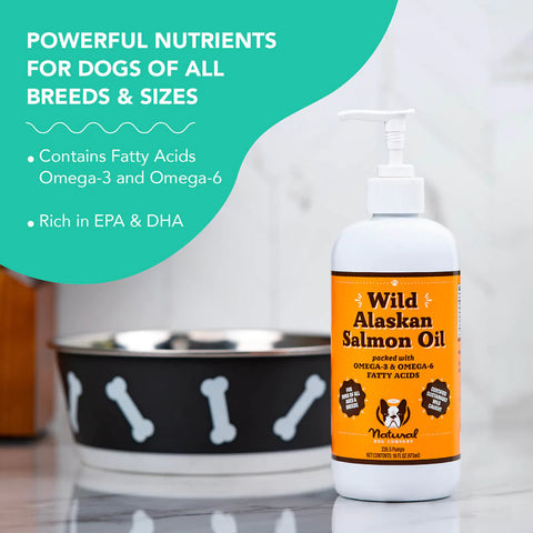 Salmon oil is one of the best supplements to add to your dog's diet as it supports immune, cognitive, joint, and heart health. Sustainably made from wild-caught salmon and free from fillers, additives, and preservatives. Product is shelf stable.