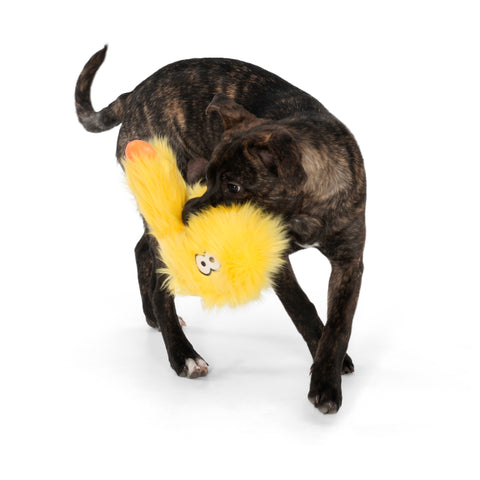 Rowdies are the best of plush and chew toys all rolled into one fun toy your dog will love. West Paw combined the sturdiest technologies to make an extremely durable plush dog toy. Rowdies contain a squeaker to prompt play, and chew bones for dogs who like to gnaw.